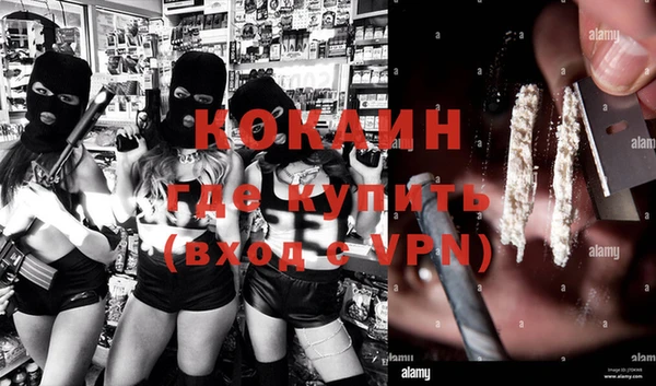 стаф Белокуриха