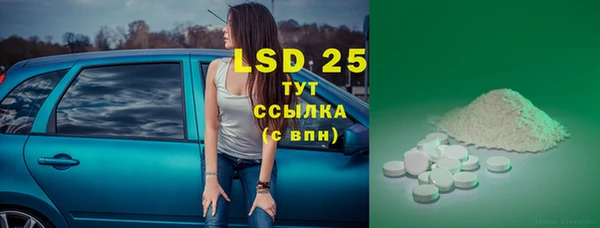 стаф Белокуриха