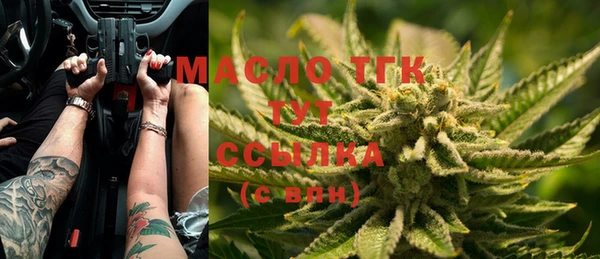гашик Семилуки