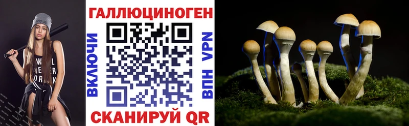Галлюциногенные грибы прущие грибы  Курильск 